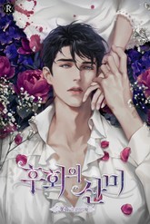 후회의 산미 표지 이미지