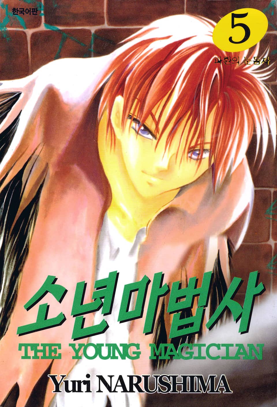 소년마법사 5권