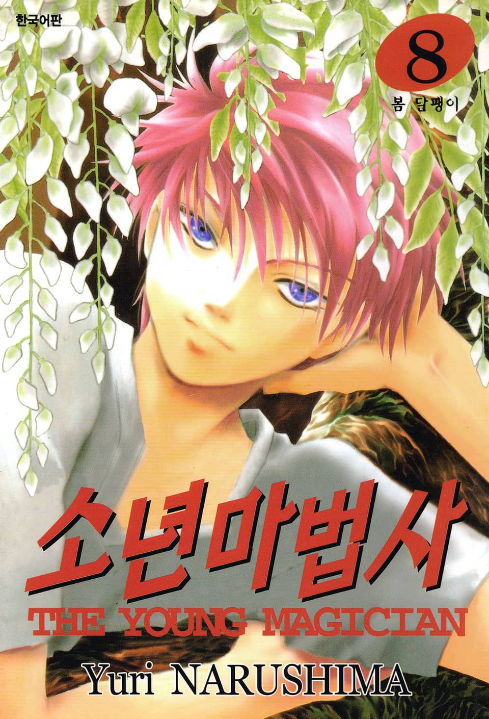 소년마법사 8권