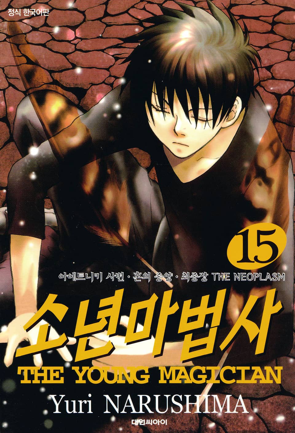 소년마법사 15권