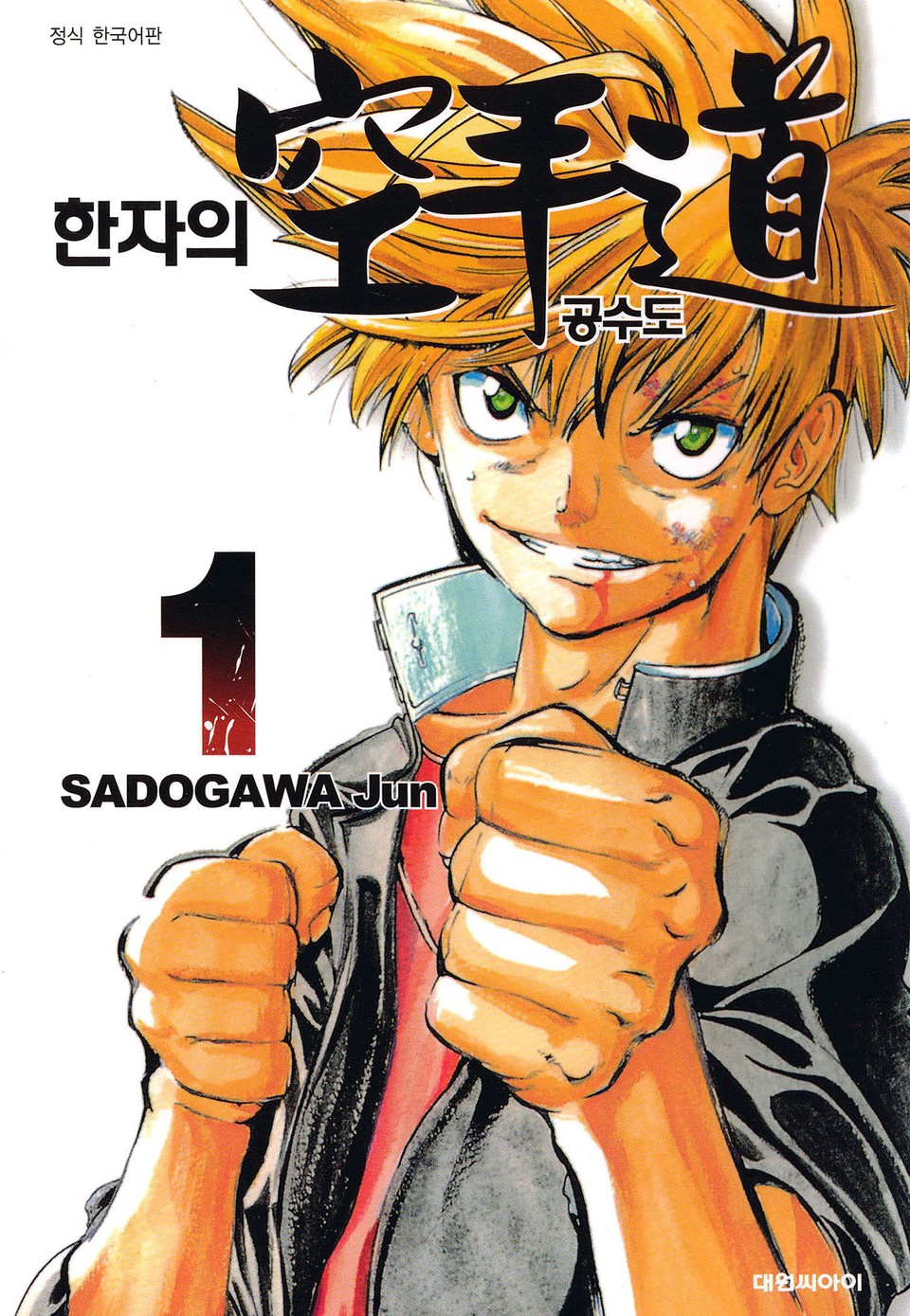 한자의 공수도 1권