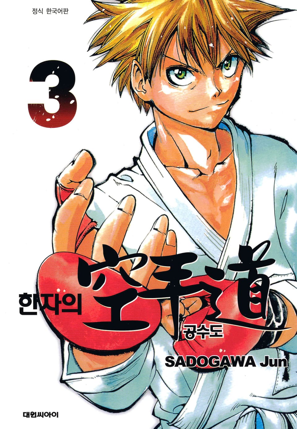 한자의 공수도 3권