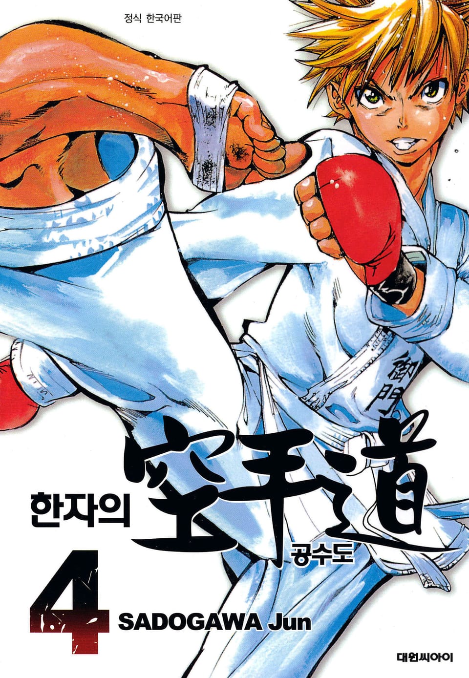 한자의 공수도 4권