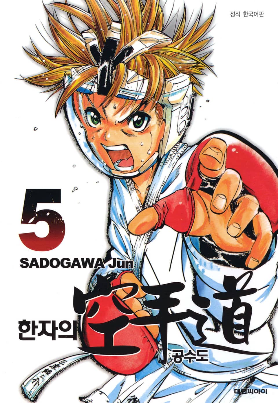 한자의 공수도 5권