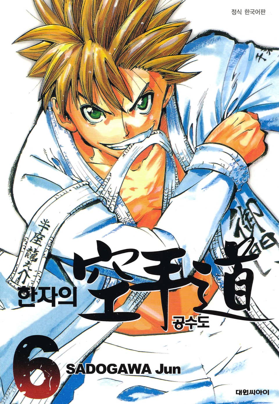 한자의 공수도 6권