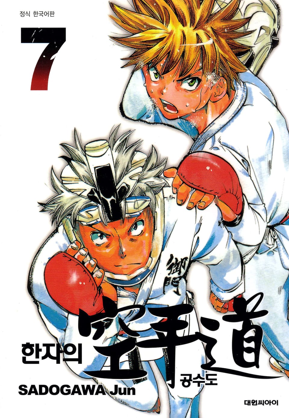 한자의 공수도 7권