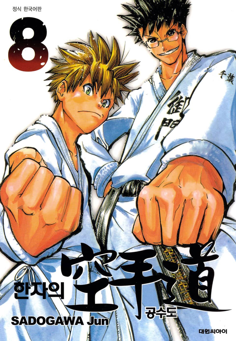 한자의 공수도 8권