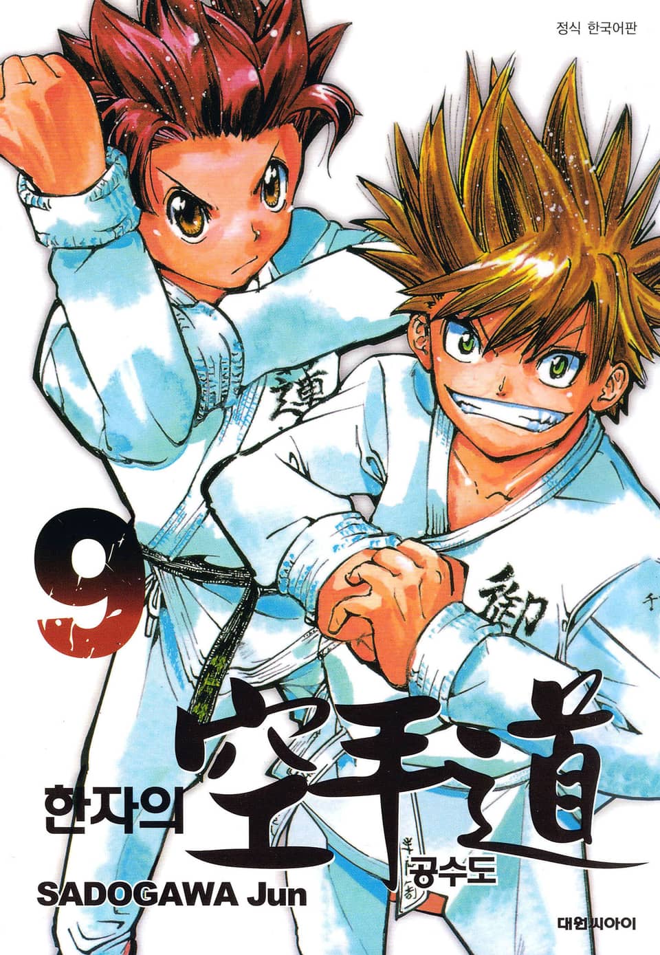 한자의 공수도 9권