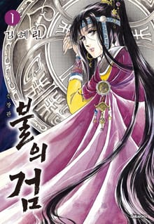 불의 검(신장판)