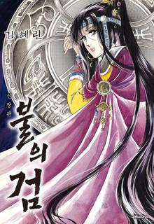 불의 검(신장판)