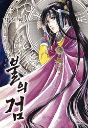 불의 검(신장판)
