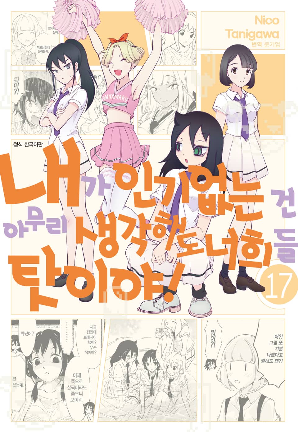 내가 인기 없는 건 아무리 생각해도 너희들 탓이야! 17권