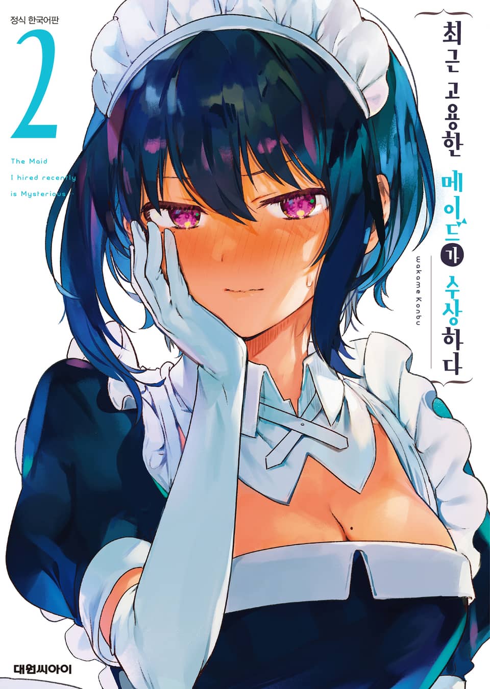 최근 고용한 메이드가 수상하다 2권