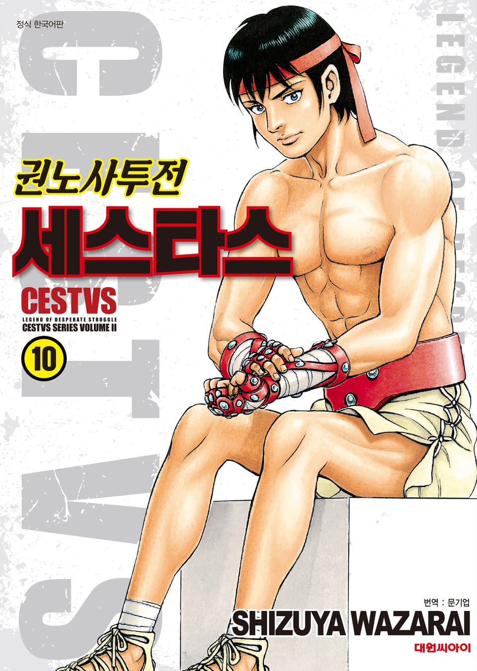 권노사투전 세스타스 10권