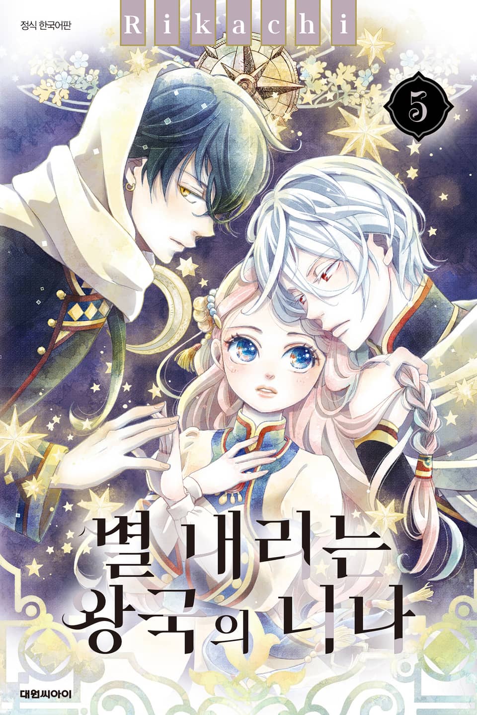 별 내리는 왕국의 니나 5권
