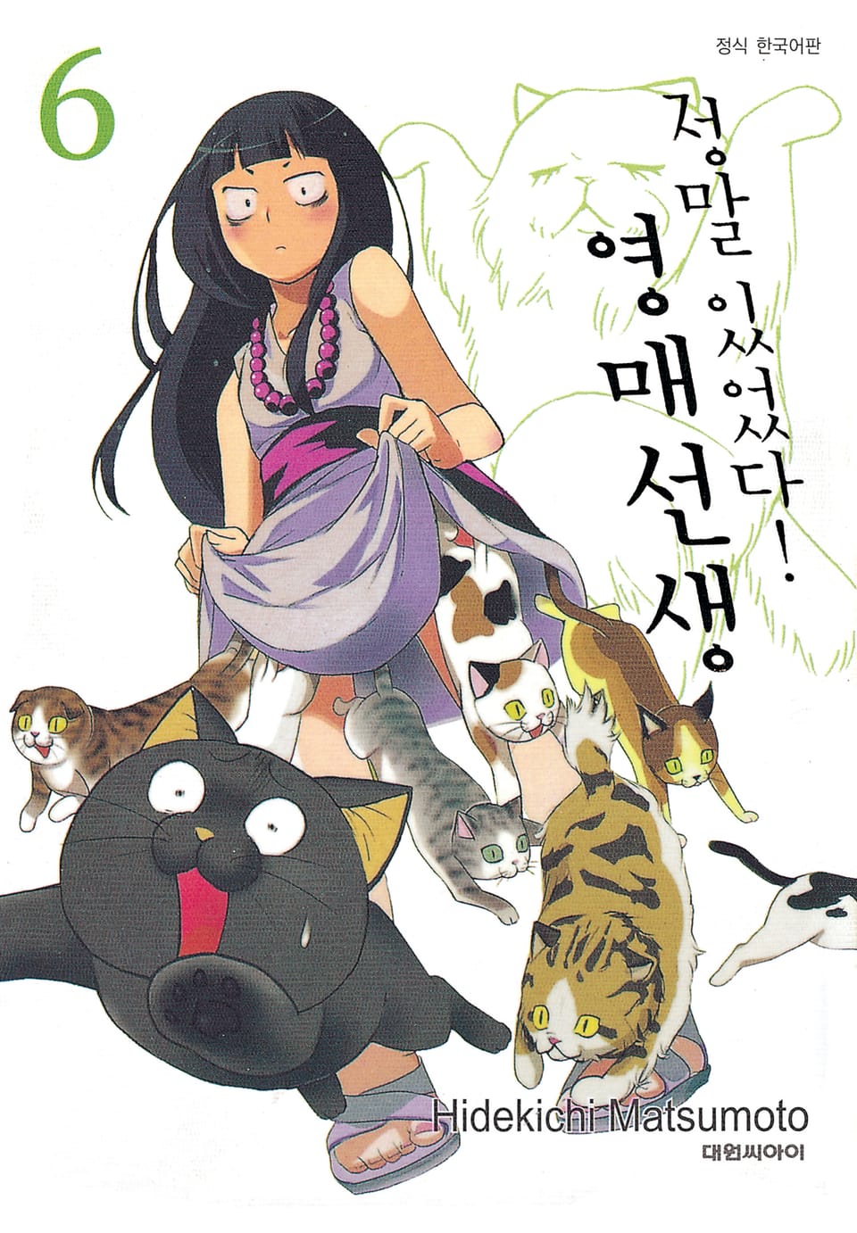 정말 있었다! 영매 선생 6권