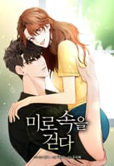 미로 속을 걷다 표지 이미지