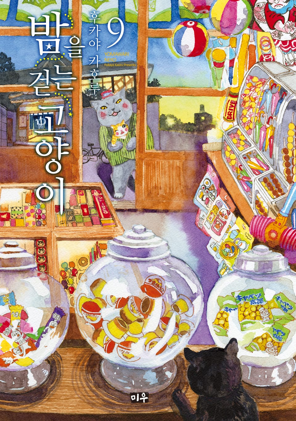 밤을 걷는 고양이 9권