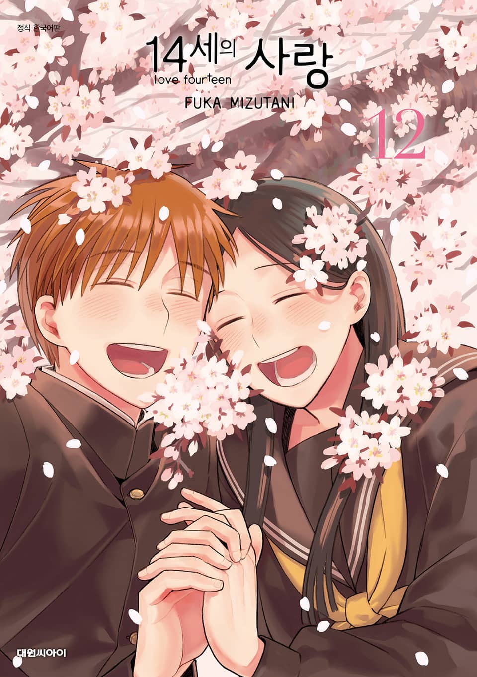 14세의 사랑 12권 (완결)