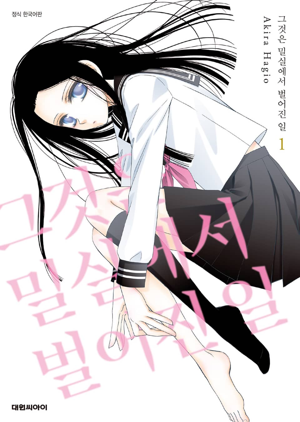 그것은 밀실에서 벌어진 일 1권