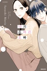 나의 올바른 오빠 표지 이미지