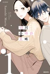 나의 올바른 오빠 표지 이미지