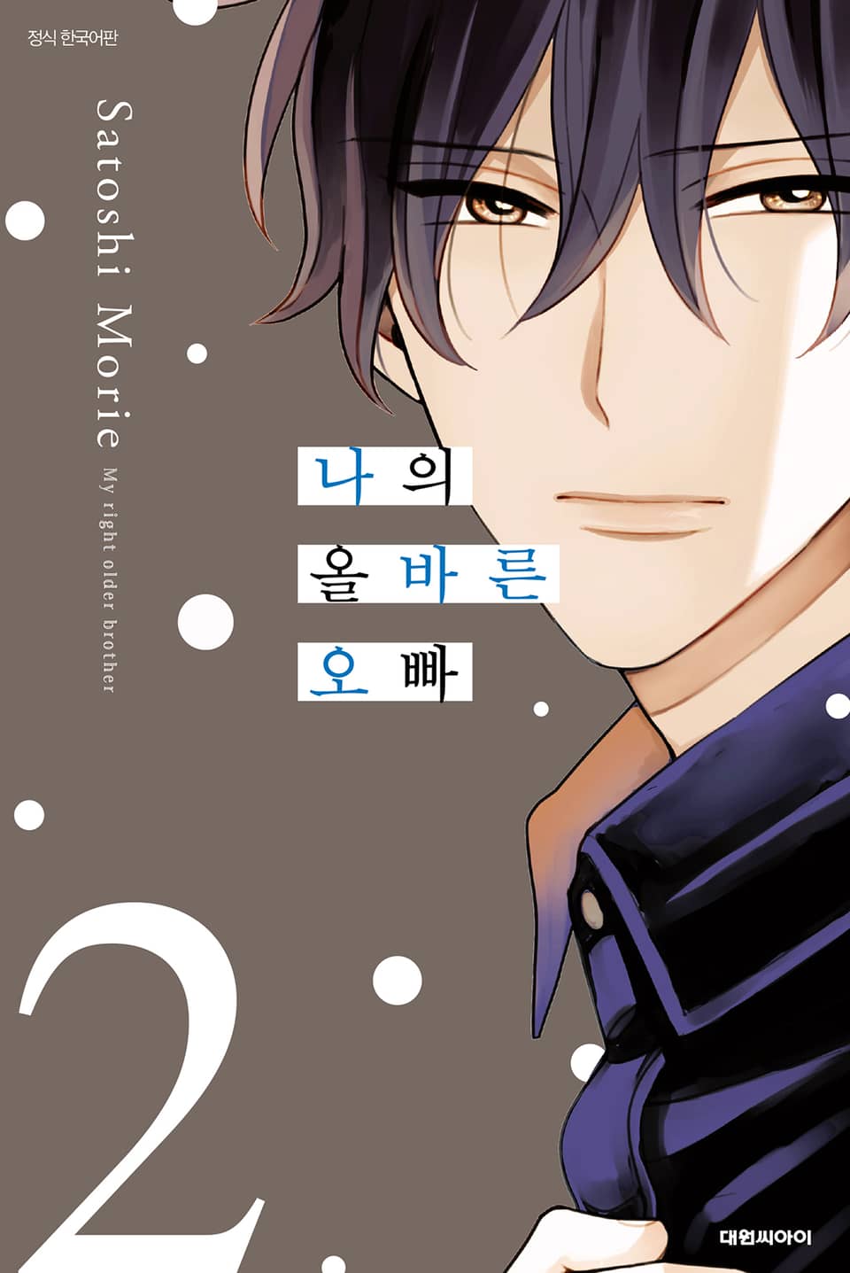 나의 올바른 오빠 2권