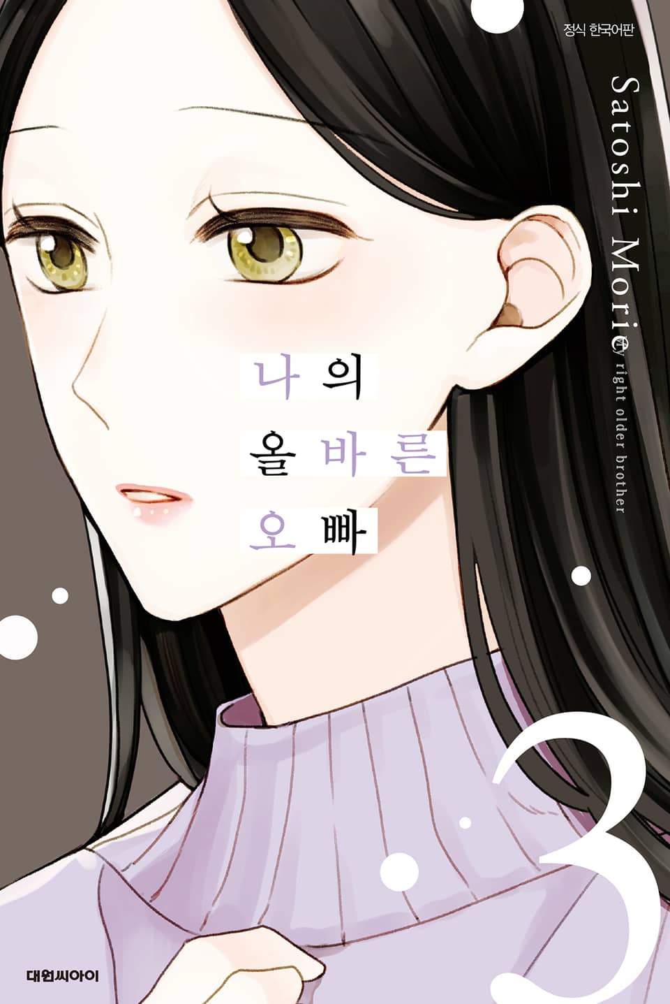 나의 올바른 오빠 3권