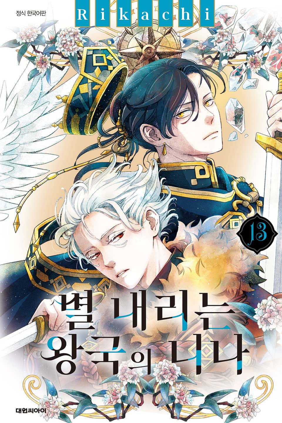 별 내리는 왕국의 니나 13권