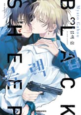 블랙 쉽 표지 이미지