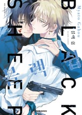 블랙 쉽 표지 이미지