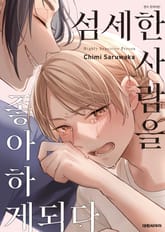 [비애] 섬세한 사람을 좋아하게 되다 표지 이미지