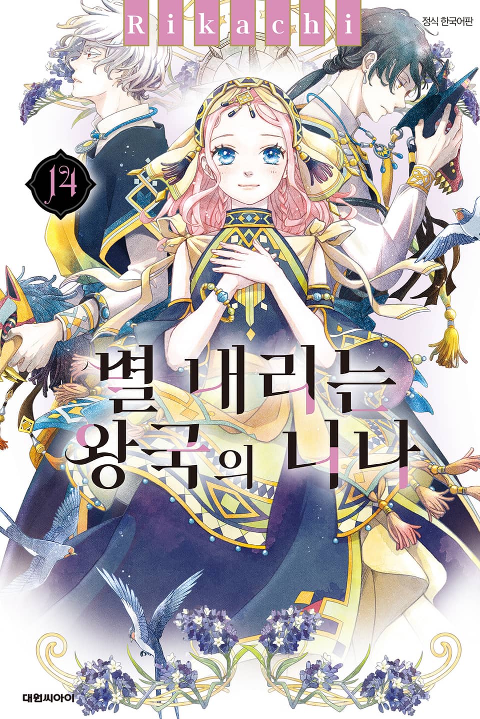 별 내리는 왕국의 니나 14권