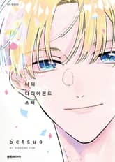 나의 다이아몬드 스타 표지 이미지