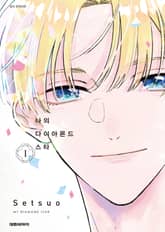 나의 다이아몬드 스타 표지 이미지