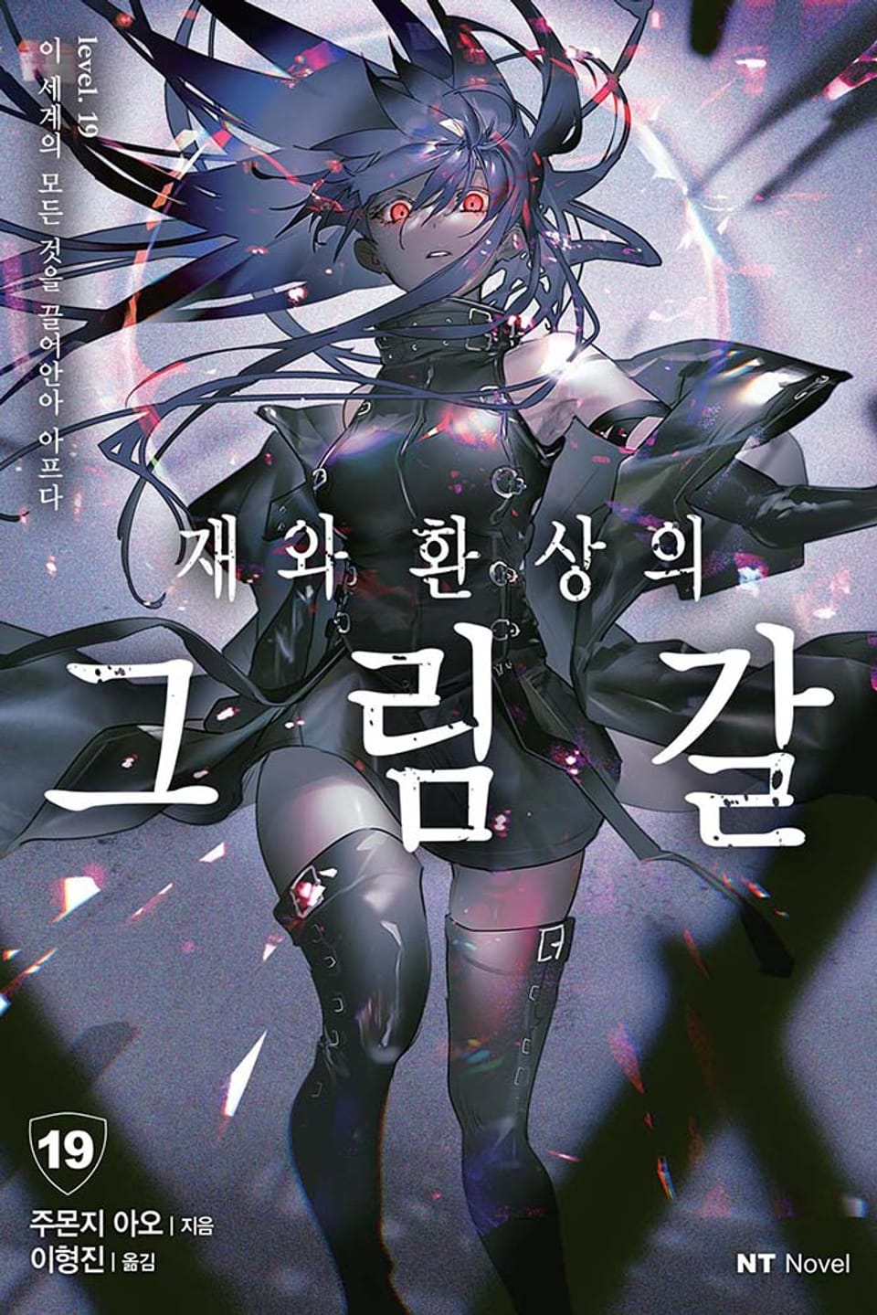 재와 환상의 그림갈 19권