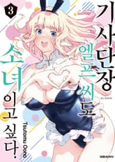 기사단장 엘프 씨도 소녀이고 싶다. 표지 이미지