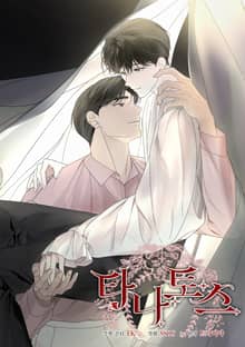 타나토스(일반판)