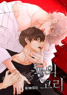 독의 고리(일반판)