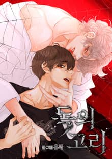 독의 고리(일반판)