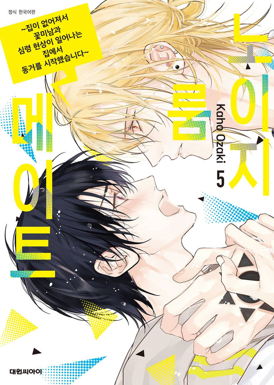 노이지 룸메이트 5권