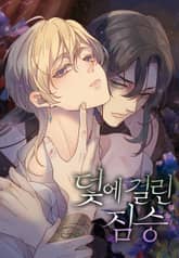 덫에 걸린 짐승 표지 이미지