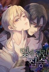 덫에 걸린 짐승 표지 이미지