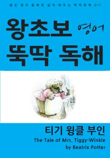 티기 윙클 부인