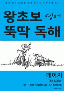 데이지