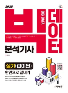 2025 시대에듀 빅데이터분석기사 실기(파이썬) 한권으로 끝내기