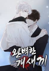 완벽한 개새끼 표지 이미지