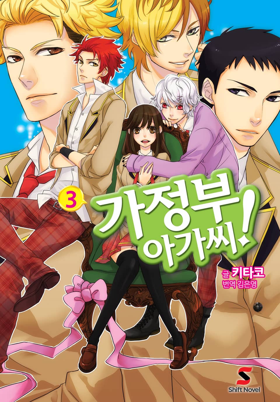 가정부 아가씨 3권