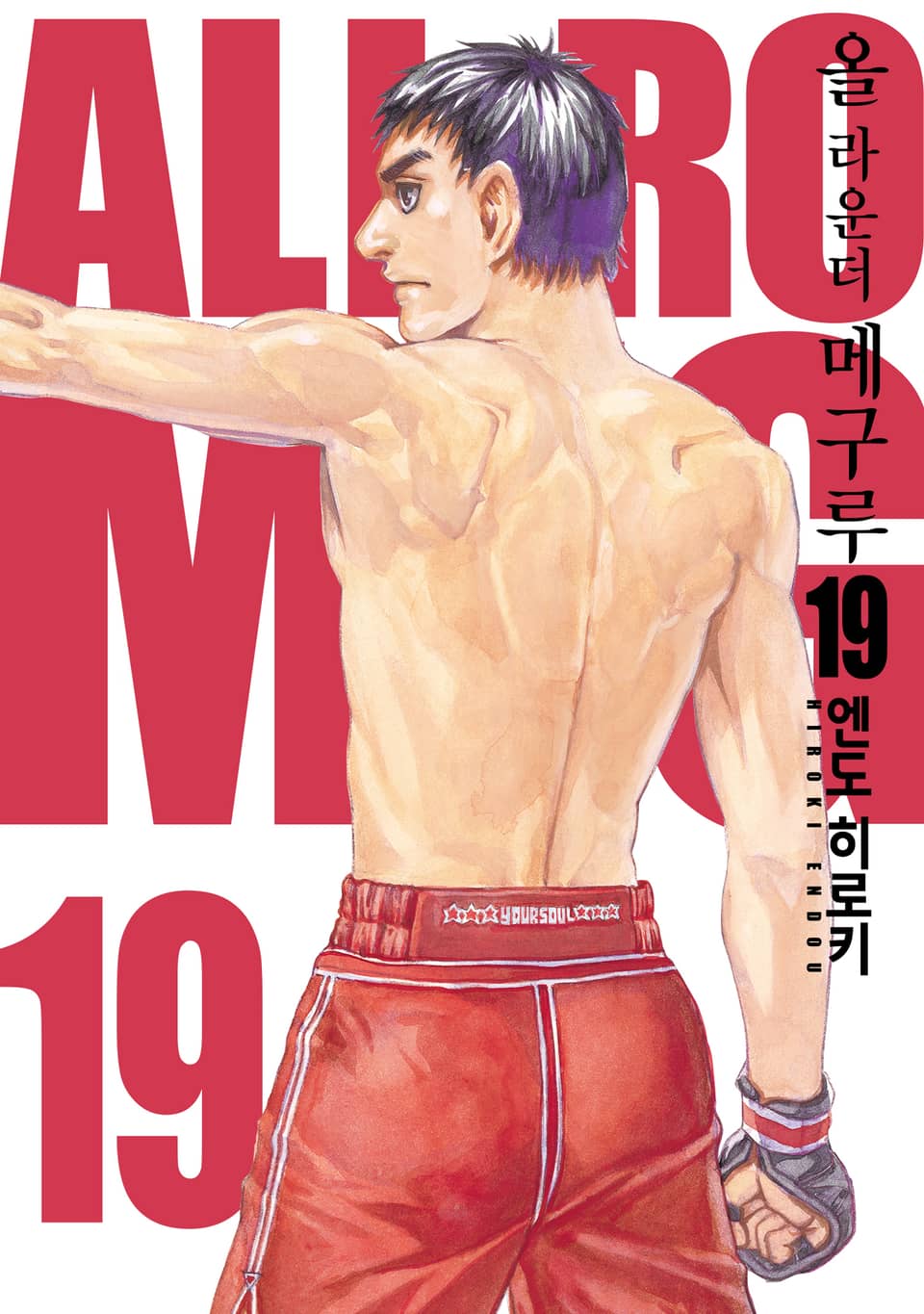 올 라운더 메구루 19권 (완결)