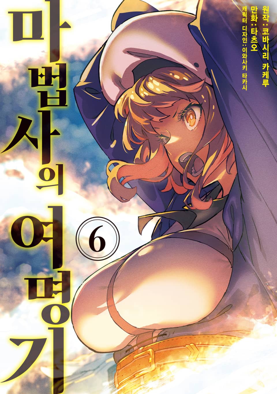 마법사의 여명기 6권